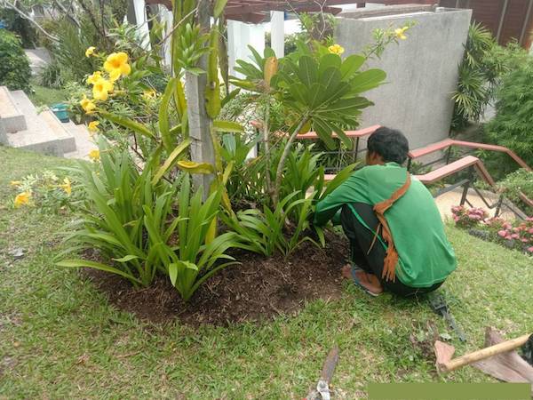 Phuket housekeeping, deep cleaning, glass wiping, disinfectant spraying, dust mite removal services