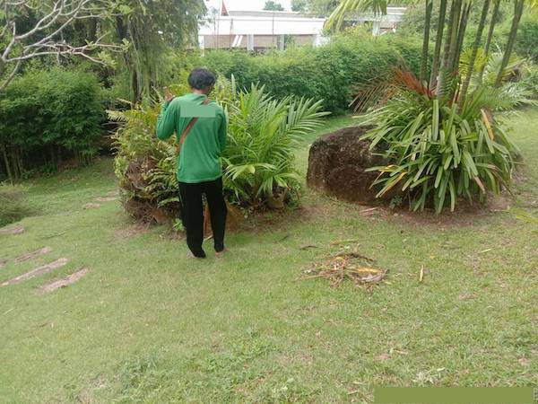 Phuket gardening services