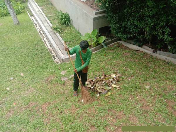 Phuket gardening services